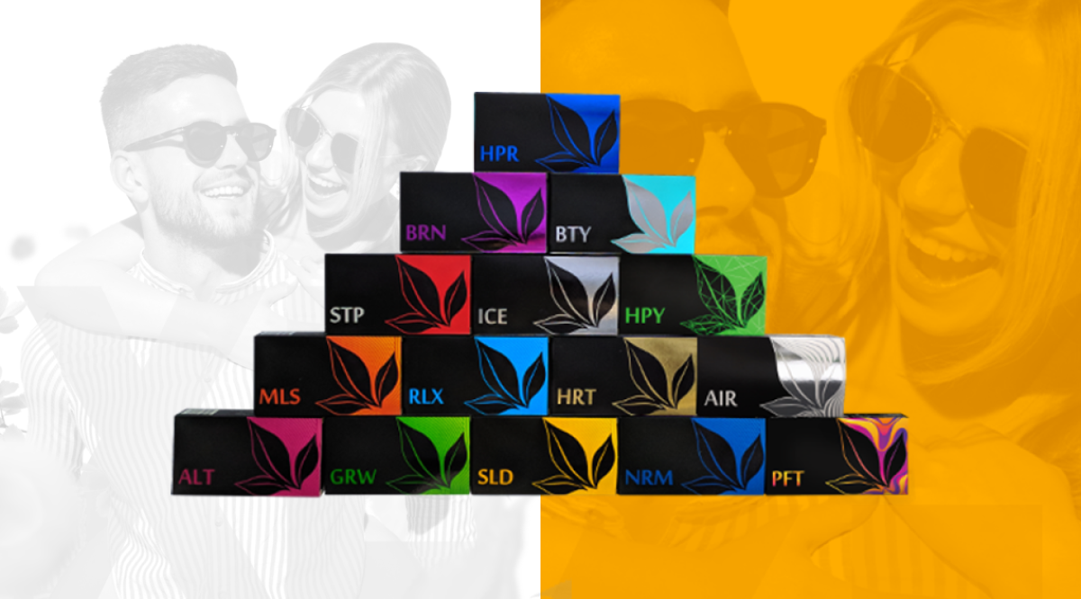 KIT "XL"