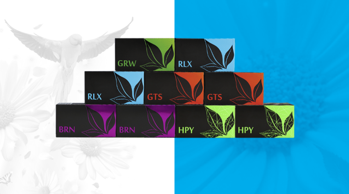 KIT „ENERGIA NATURII”