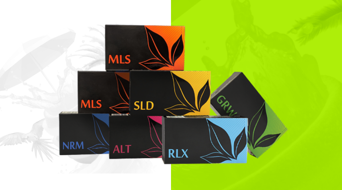 KIT „TRĂIEȘTE VIAȚA”