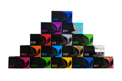 KIT "XL"