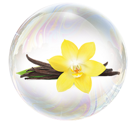 Vanilie de sortul „Burbon” 