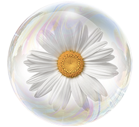 Extractul de mușețel 