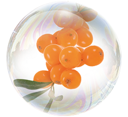 Extractul de cătină