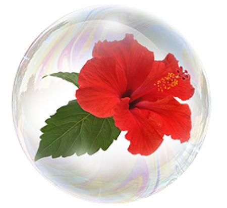 Extractul de hibiscus